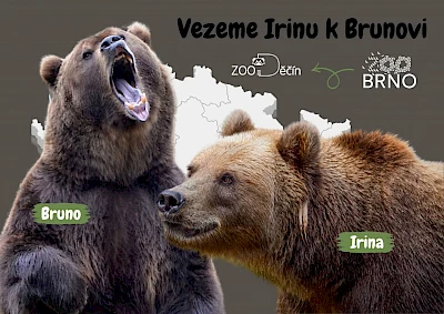 Irina a Bruno
